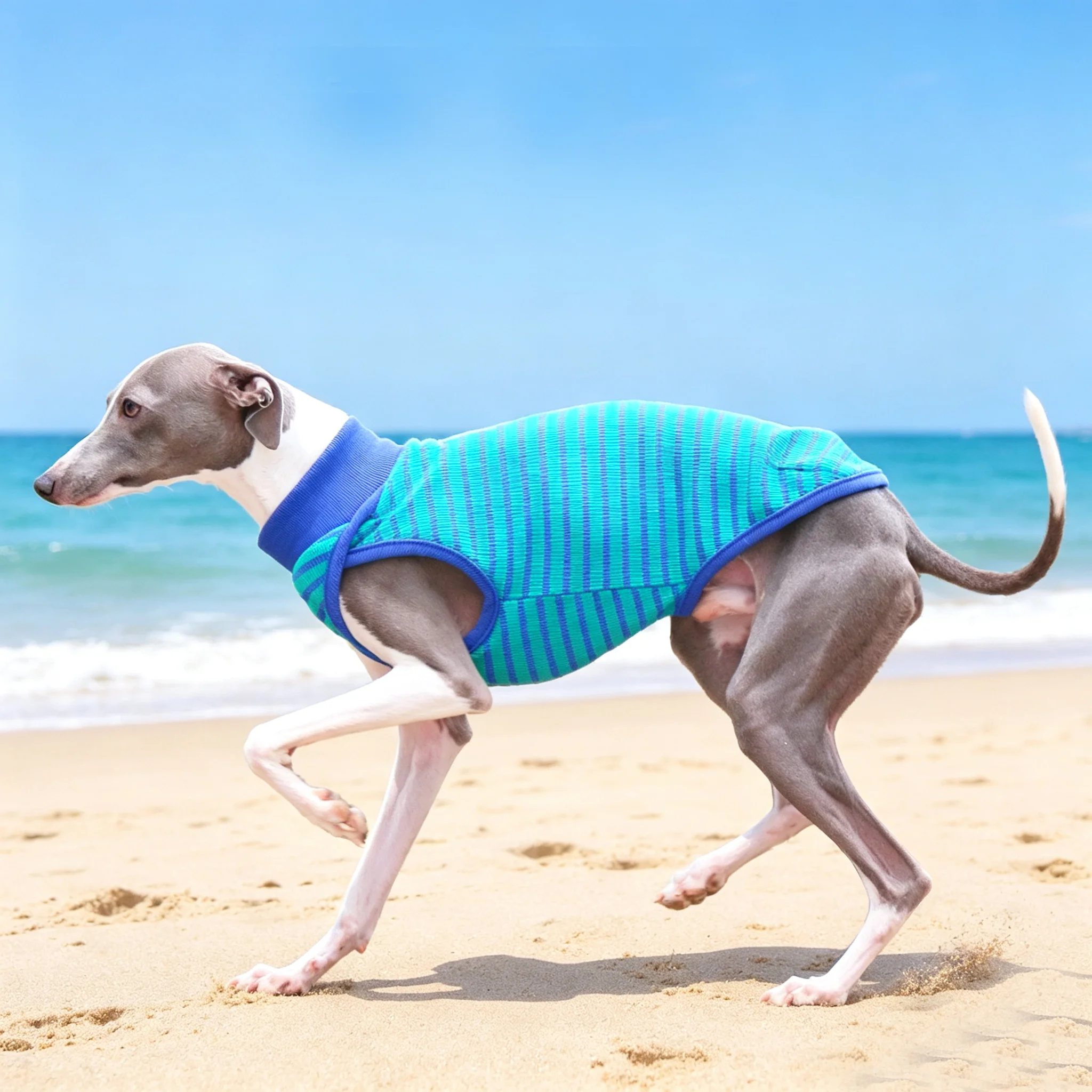 Camiseta solar UV para galgo italiano y Whippet – Transpirable verano - imagen 4