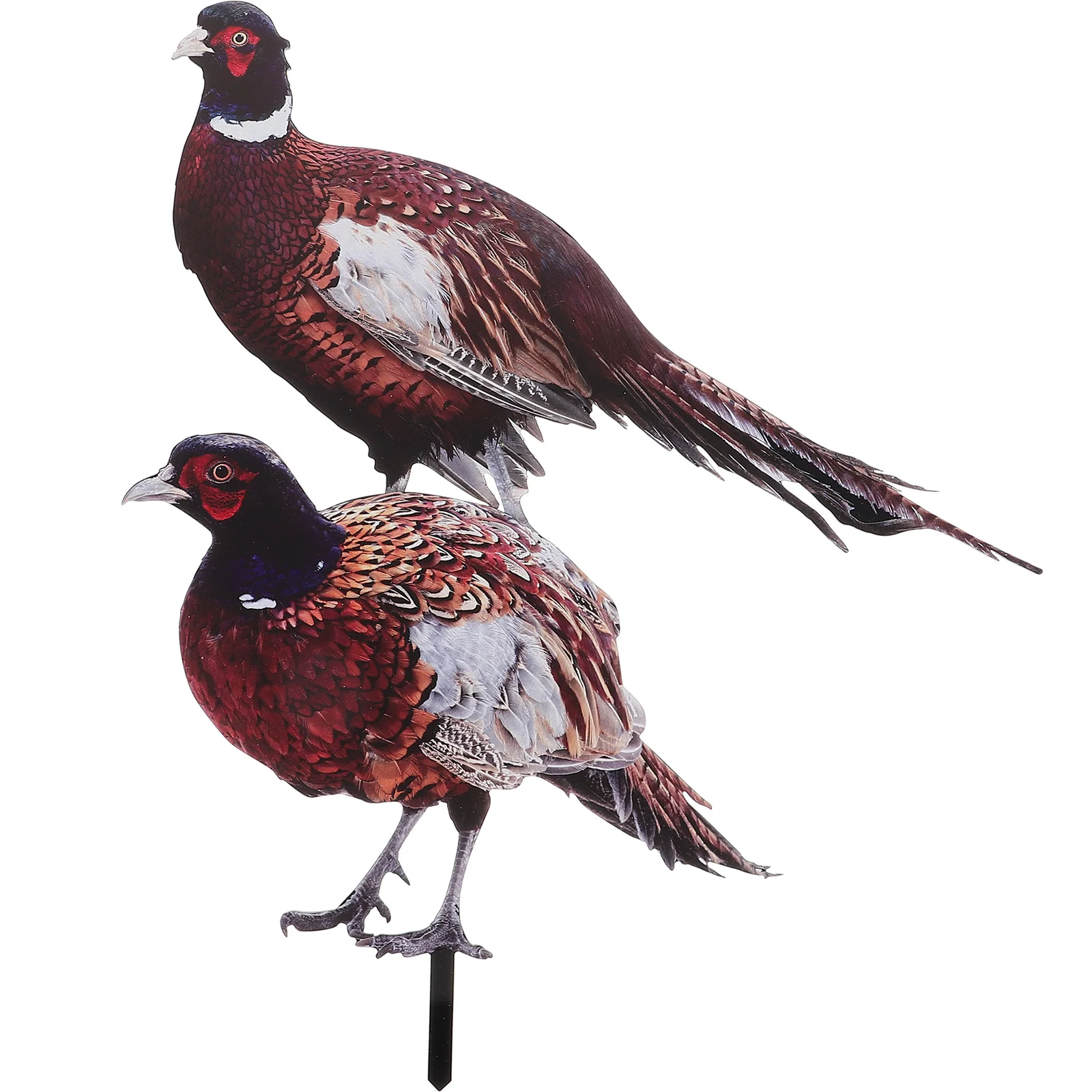 

2 Pcs Pheasant Garden Decoration Yards Decorative Sign Three-dimensional Lawn Acrylic Insert Stake