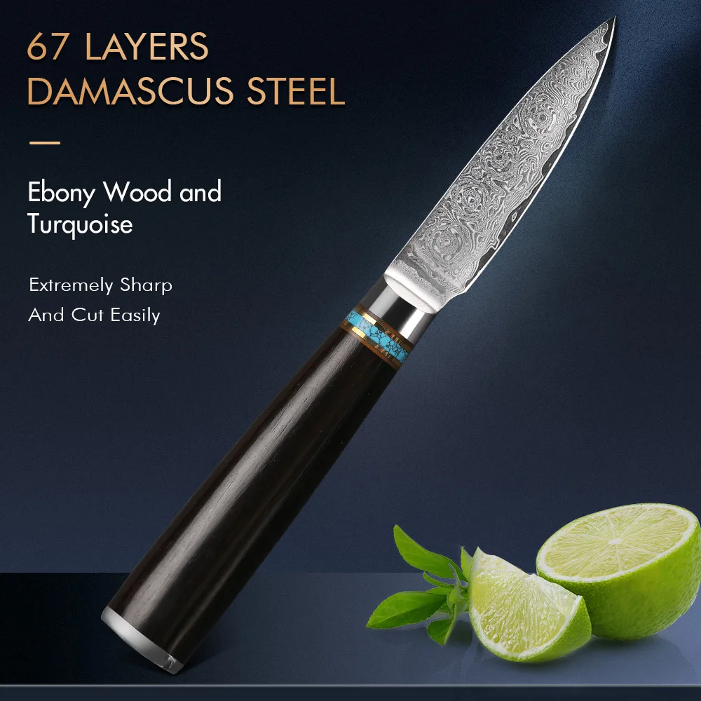 

Ножи для очистки овощей TURbHу-Damascus Steel, 67 слоев, суперострые, очищающие фрукты, кухонный инструмент для приготовления пищи, ручка из черного и бирюзового дерева, 3,5 дюйма