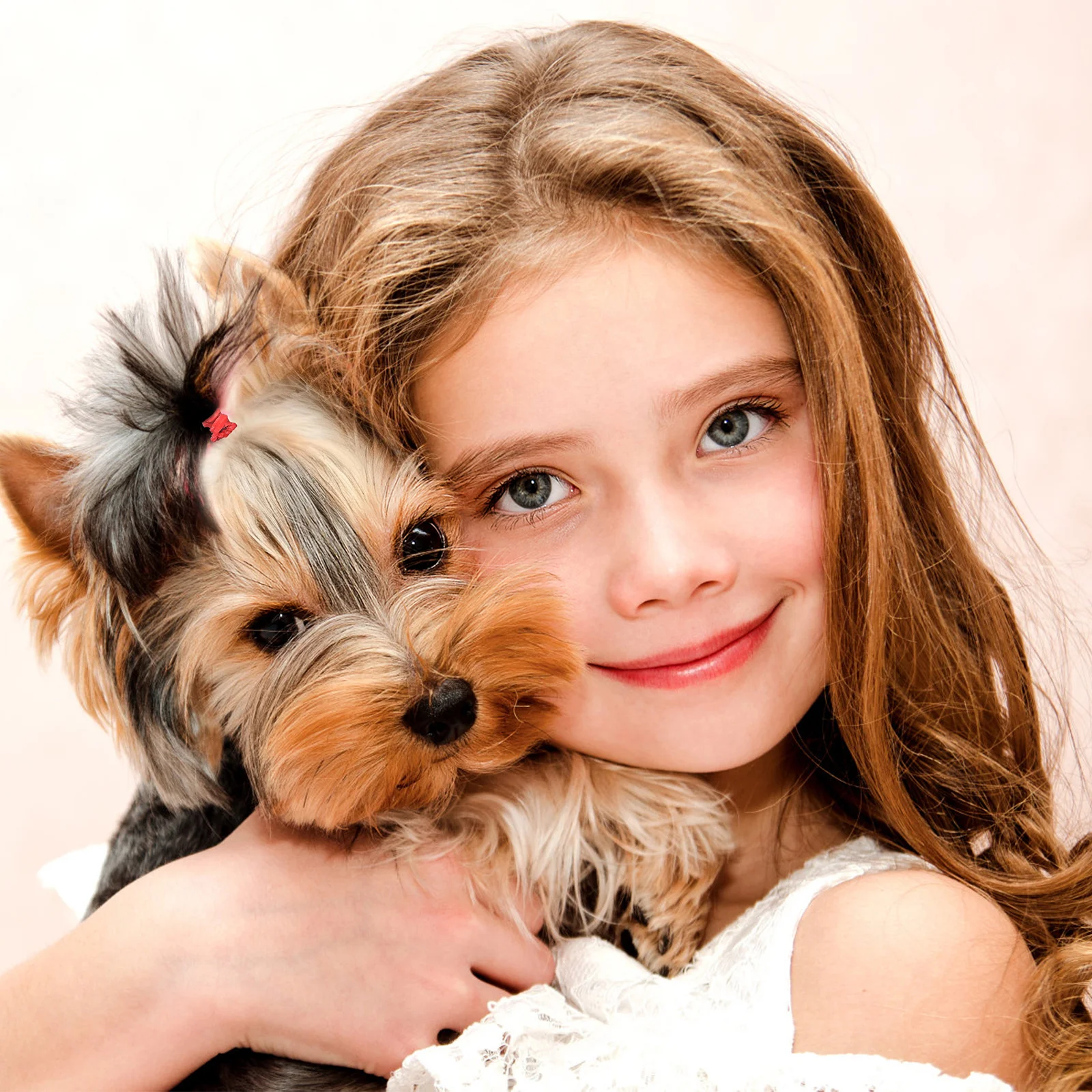 

170pcs Pet Rubber Bands Small Dog Puppy Bows Grooming Accessories For Cats Dogs Elastic Hair Bands Pet Hair Accessories