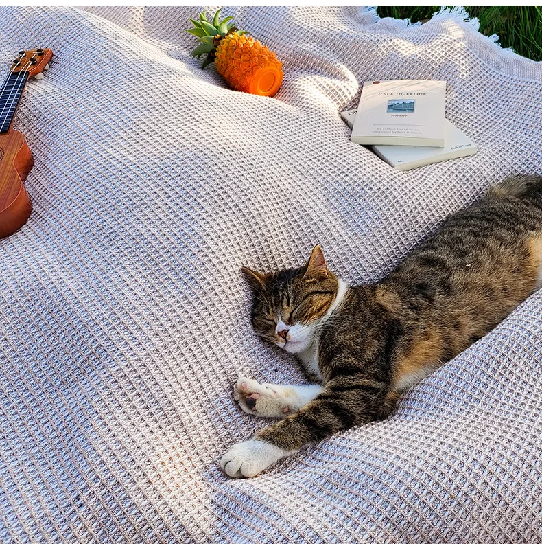 Thumbnail 3 - #72 Trending Picnic Blankets Right Now