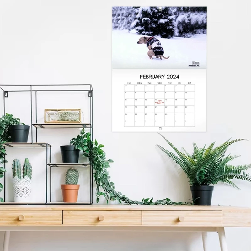 جدار التقويم للأسرة مخطط ، الكلب أنبوب ، ورقة ، مضحك ، أماكن جميلة ، 2024 ، 1 قطعة