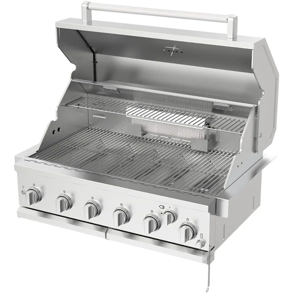 Premium Grill Built-in Head, 6-Burner with Rear Burner Propane Grill, Convertible to Natural Gas,