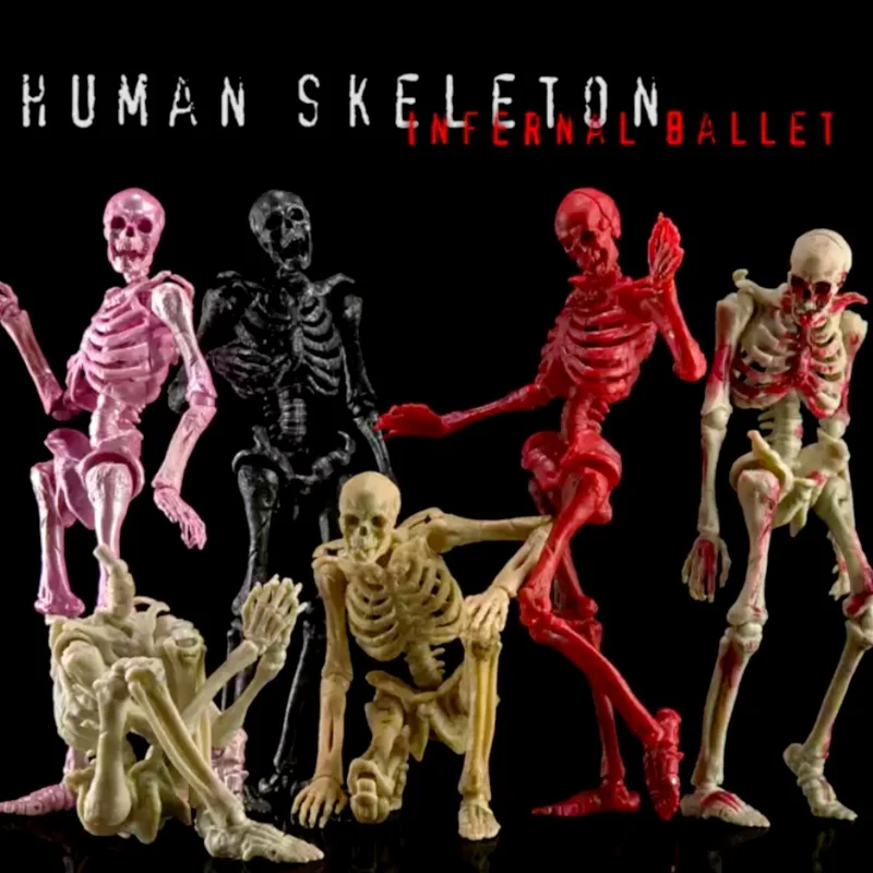 

New 1/12 Fully Articulated Human Skeleton Action Figure Biology Class Education Horror Collectible Model Toy Gift for Halloween