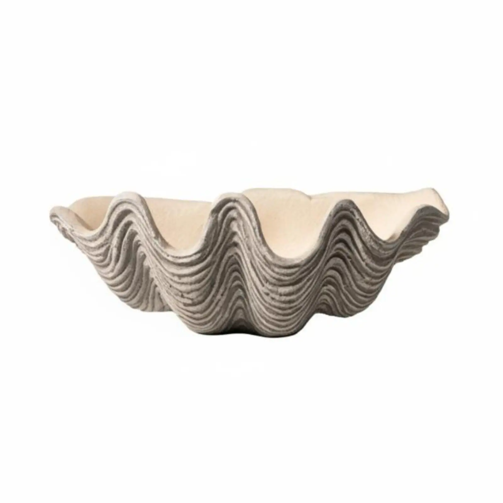 Clamshell Decor Bowl Artistic Asymmetry Coastal Art Piece Piece Texture Clam-Shaped Decor Bowl for Hotel, Homestay, Display