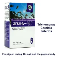 Three-in-one homing pigeon racing pigeon trichomonas coccidiosis intestinal common diseases dedicated