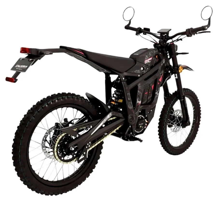 

ACE 100% Discount price for