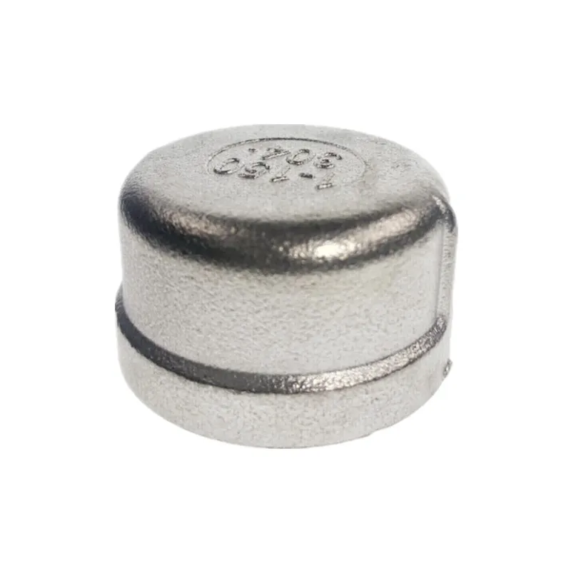 Cap Vrouwelijke Rvs SS304 Geneste Pijp BSP