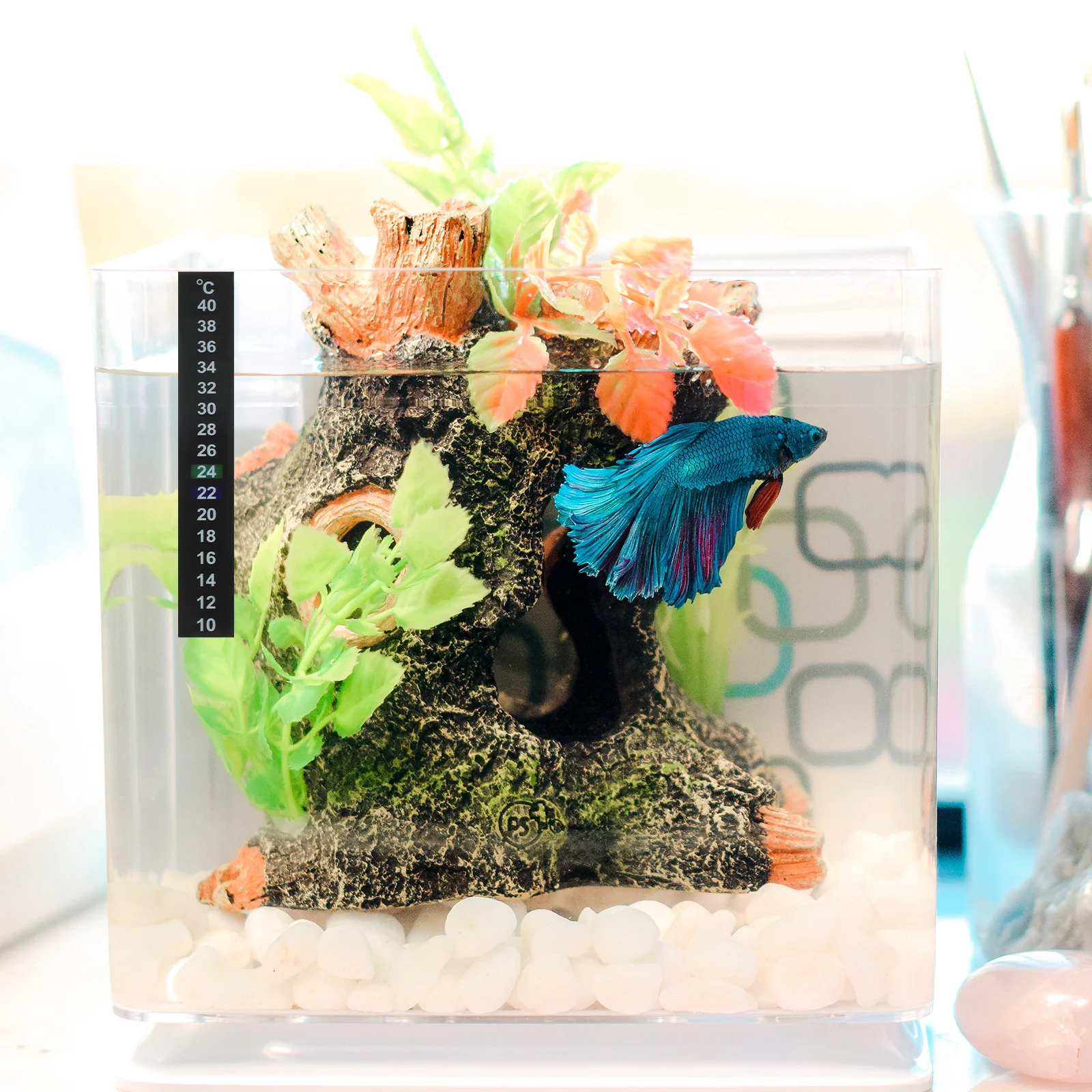 

15Pcs Liquid Crystal Thermometer Strip Special Indoor Fish Tank Temperature Measuring Strip Aquarium Reptile Box Easy Use Color