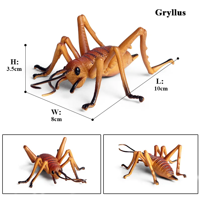 Oenux Simulation Libelle Heuschrecke Tausendfüßler Wildes Insekt Tiere Modell Actionfiguren Miniatur Bildung Sammlung Kinderspielzeug – Detail 9