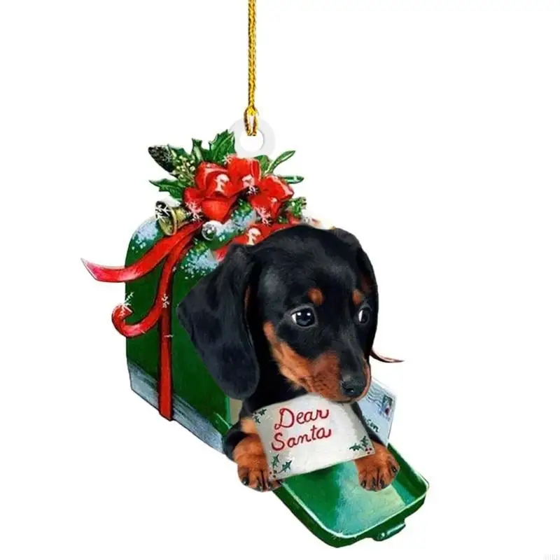 A0KE Sausage Dog Ac…