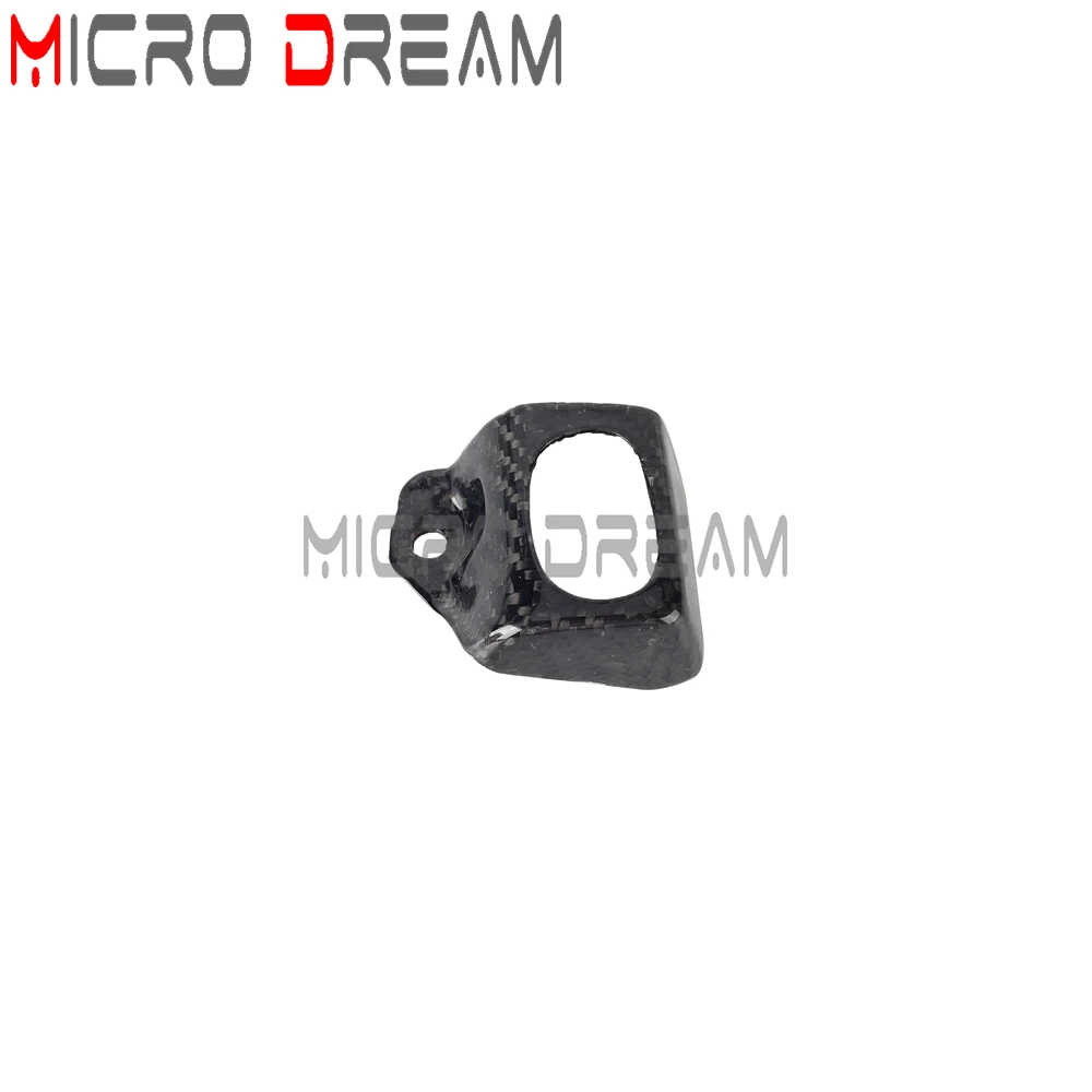 مضخة الفرامل الخلفية خزان السوائل كوب زيت ألياف الكربون الغطاء الواقي ل هارلي بان أمريكا 1250 خاص RA1250S RA1250 2021-up