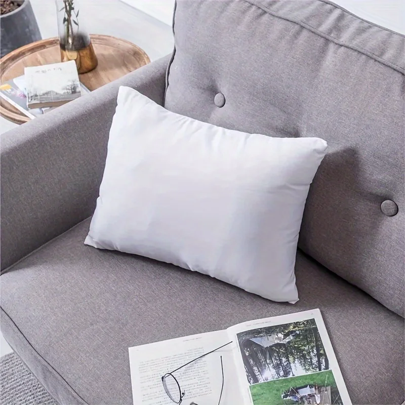 One Piece Set Standard White High Rebound Pillow Cushion Core Sofa Car Seat Home Interior Decoration Pillow 30x50cm