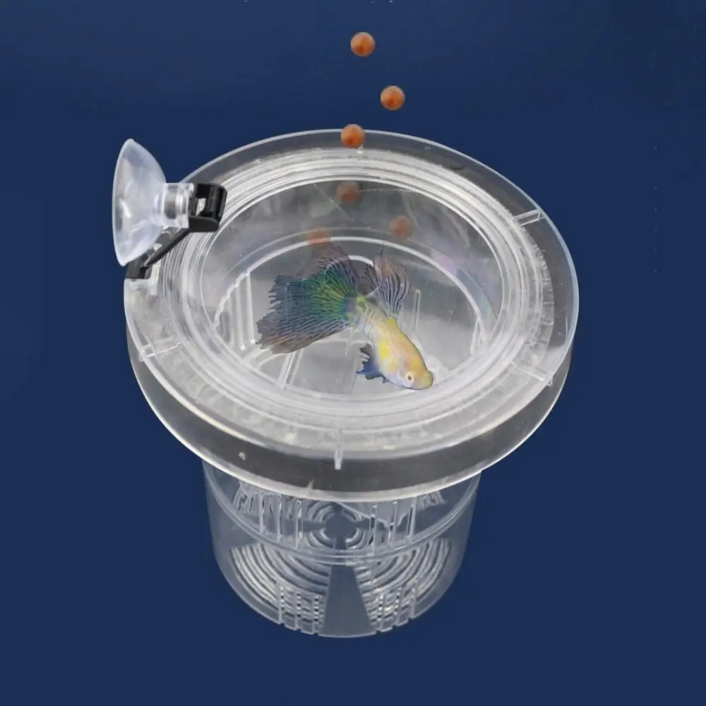 Suction Cup Floating Hatching Box Semi-transparent Detachable Fish Tank Incubator Plastic Guppy Breeding Box