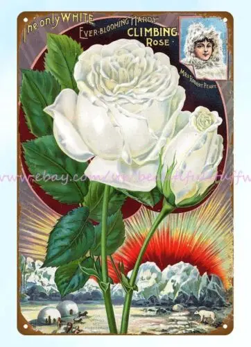 master bedroom decorating ideas n.d. Climbing Rose metal tin sign