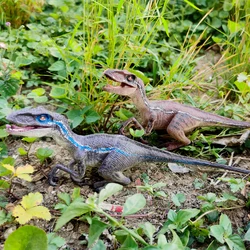Velociraptor Dinosaur Toy for Kids Realistic Dinosaur Toys Set Dilophosaurus with Moveable Jaw,Collection and Play for Kids