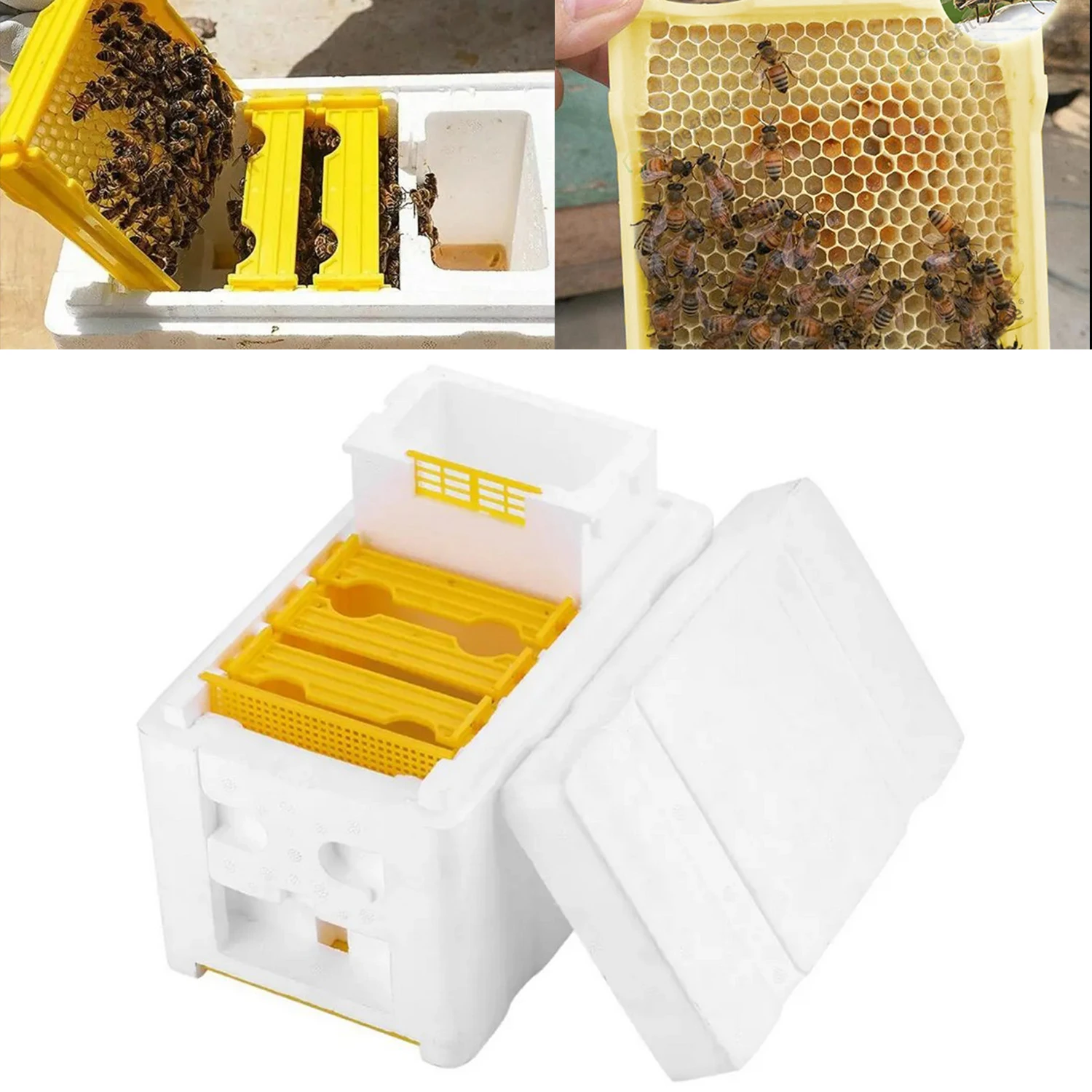 Foam Beehives Queen Bee Rearing Mating Beehive Beekeeping Tools Nest Harvest Pollination Beekeeper Suppliers