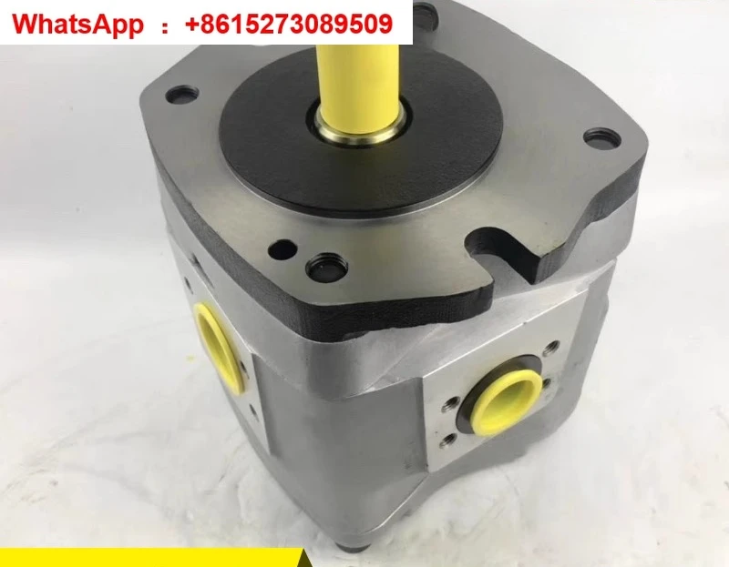 

Японский шестеренный насос IPH-6B-80-11 IPH-6B-100-11 IPH-6B-125