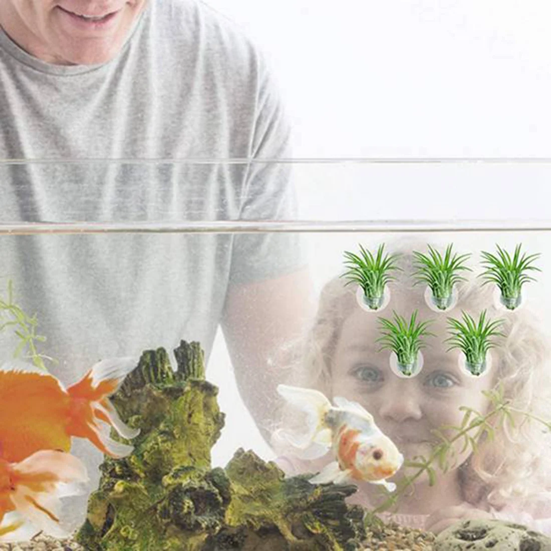 

Подставка для растений, 36 шт., с присоской, для растений (растения в комплект не входят)