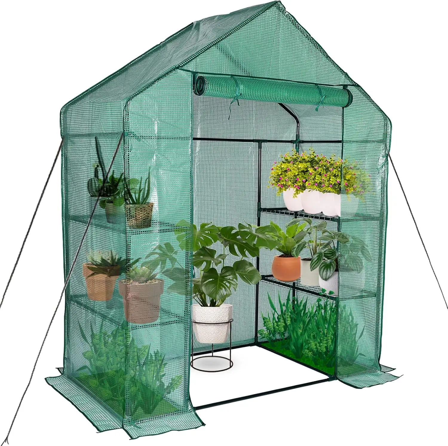 

Mini Greenhouse for Outdoors, Portable Walk-in Garden Plant Protection from Frost and Pests (56x30x76 inches)