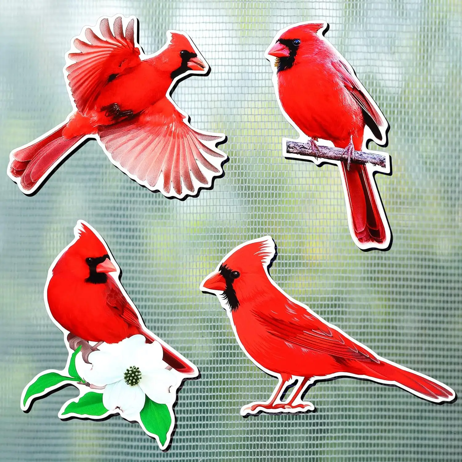 8 imanes decorativos flexibles de doble cara para puertas mosquiteras con diseño de pájaro cardenal, para ventanas correderas, 4 estilos