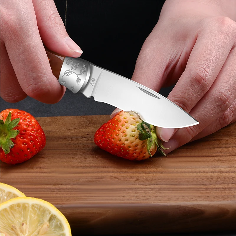 Sharp Fruit Knife, Acrylic Handle Folding Knife, Premium Household Cutting Knife, Kitchen Knife, Kitchen Utensils