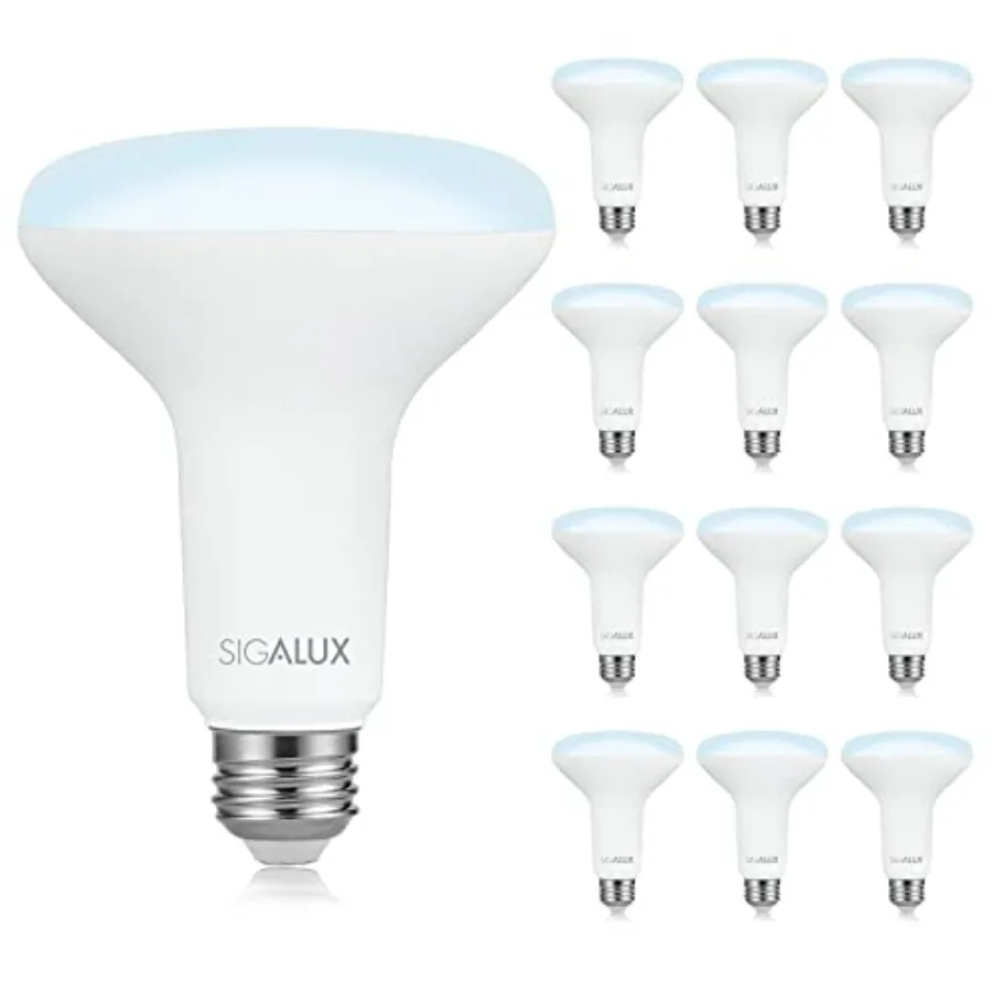 

LED Flood Lights Indoor, BR30 LED Bulb 100W Equivalent, Dimmable Recessed Light Bulbs 5000K Daylight Can Light Bulbs, E26 Base