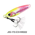 J172-C3-HK022