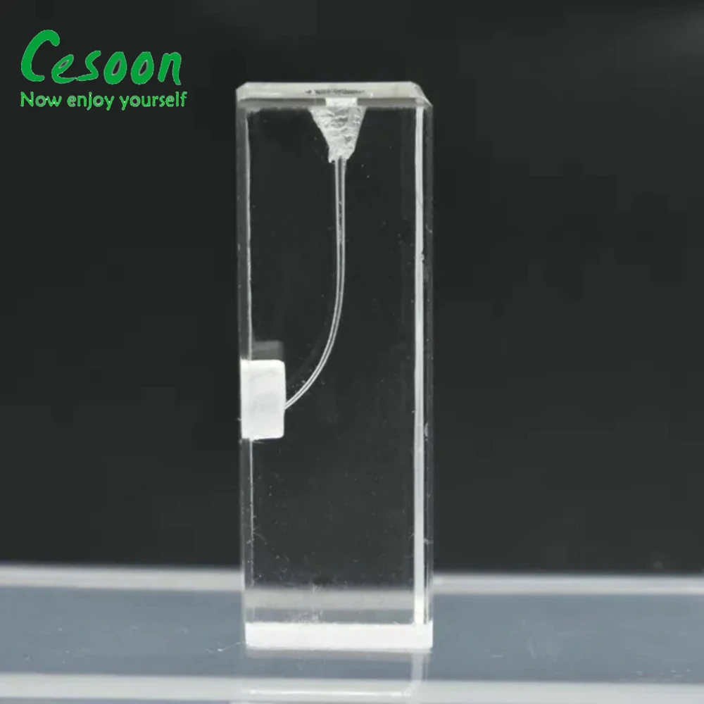 1Pcs Dental Endo Root Canal Tooth Model 8001 RCT Training Block Pulp Practice Dentistry Replace Resin Teeth Student Study Tools