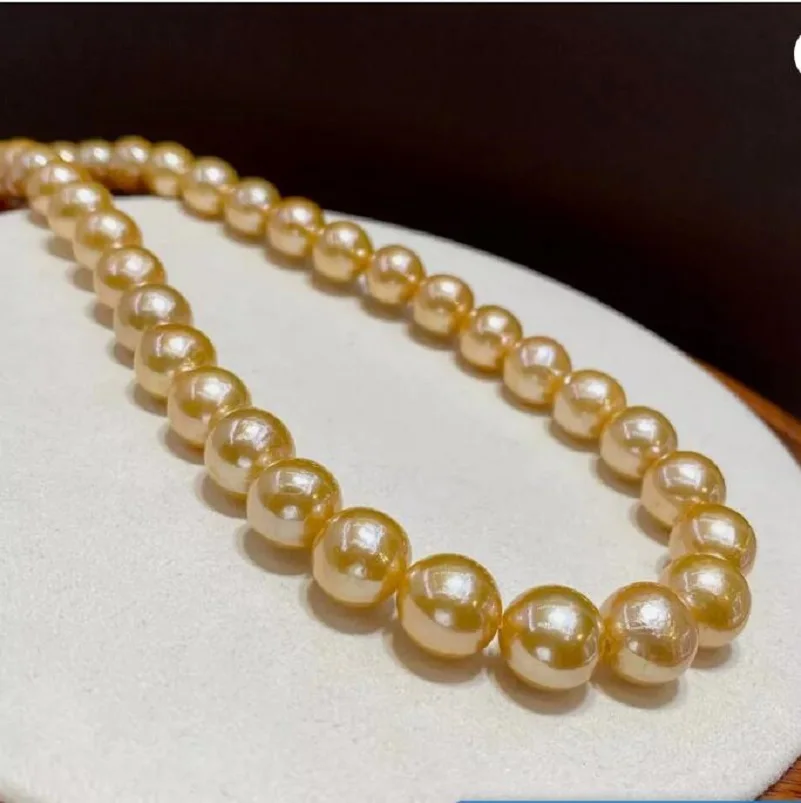 huge AAA++ 10-11mm Natural south sea Gold Pearl necklace 925 silver 18 inch