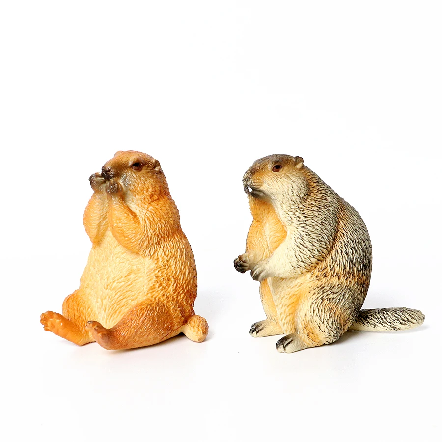 Realistic Rodent Wild Animals Capybara Beaver Mole Aardvark Mouse Chipmunk Squirrel Groundhog Model Figure Collection Toys