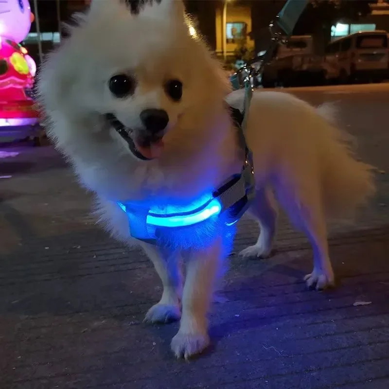 LED Illuminated Dog Chest Harness Traction Rope Medium/big Dogs Night Light Dog Lamp To Prevent Getting Lost At Night Dogs Chain