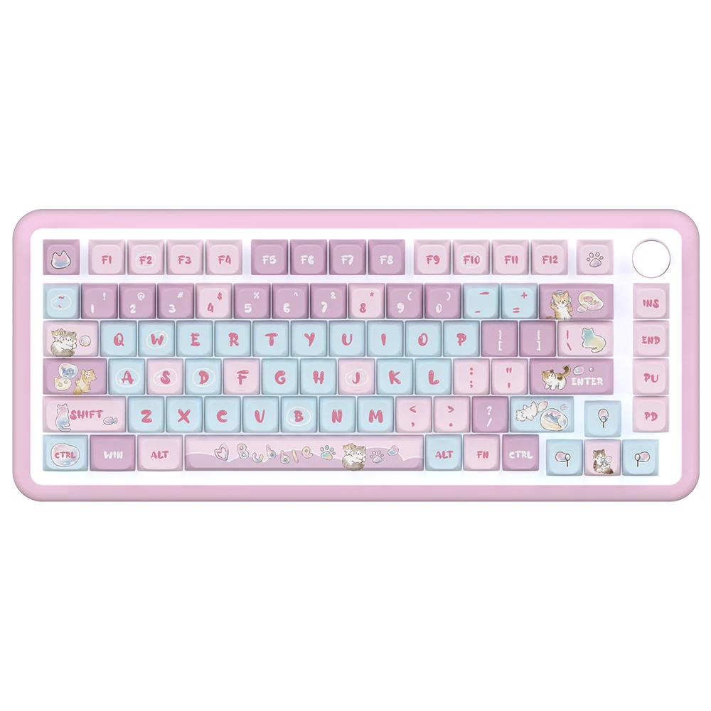 

138 Keys Shine-Through Keycaps Side-Legend Crystal Clear OEM Profile for Cherry MX Switch RGB Backlit Keyboard