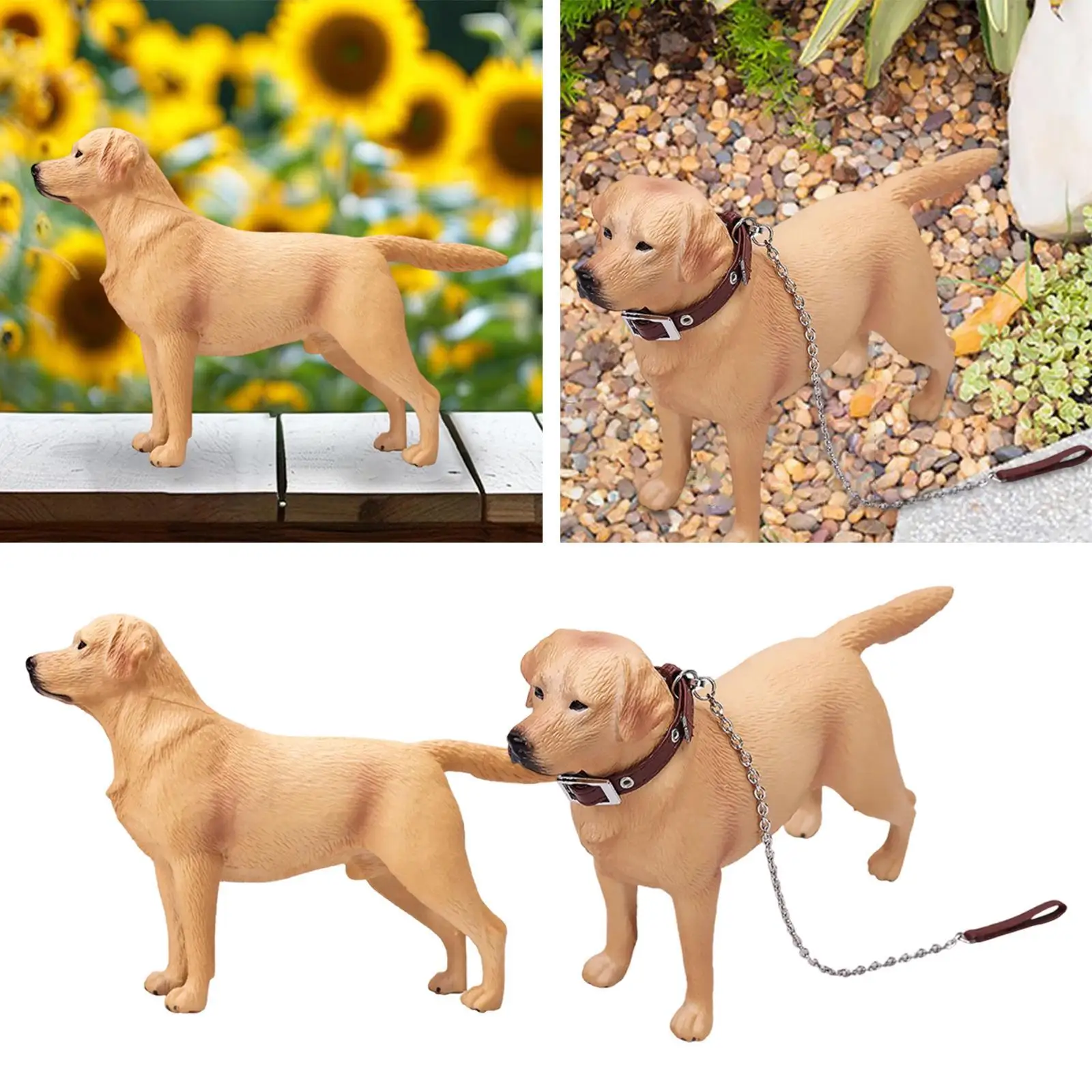 Figurine de chien, accessoires d'action, accessoire Photo décoratif, Statue animale, 1/6