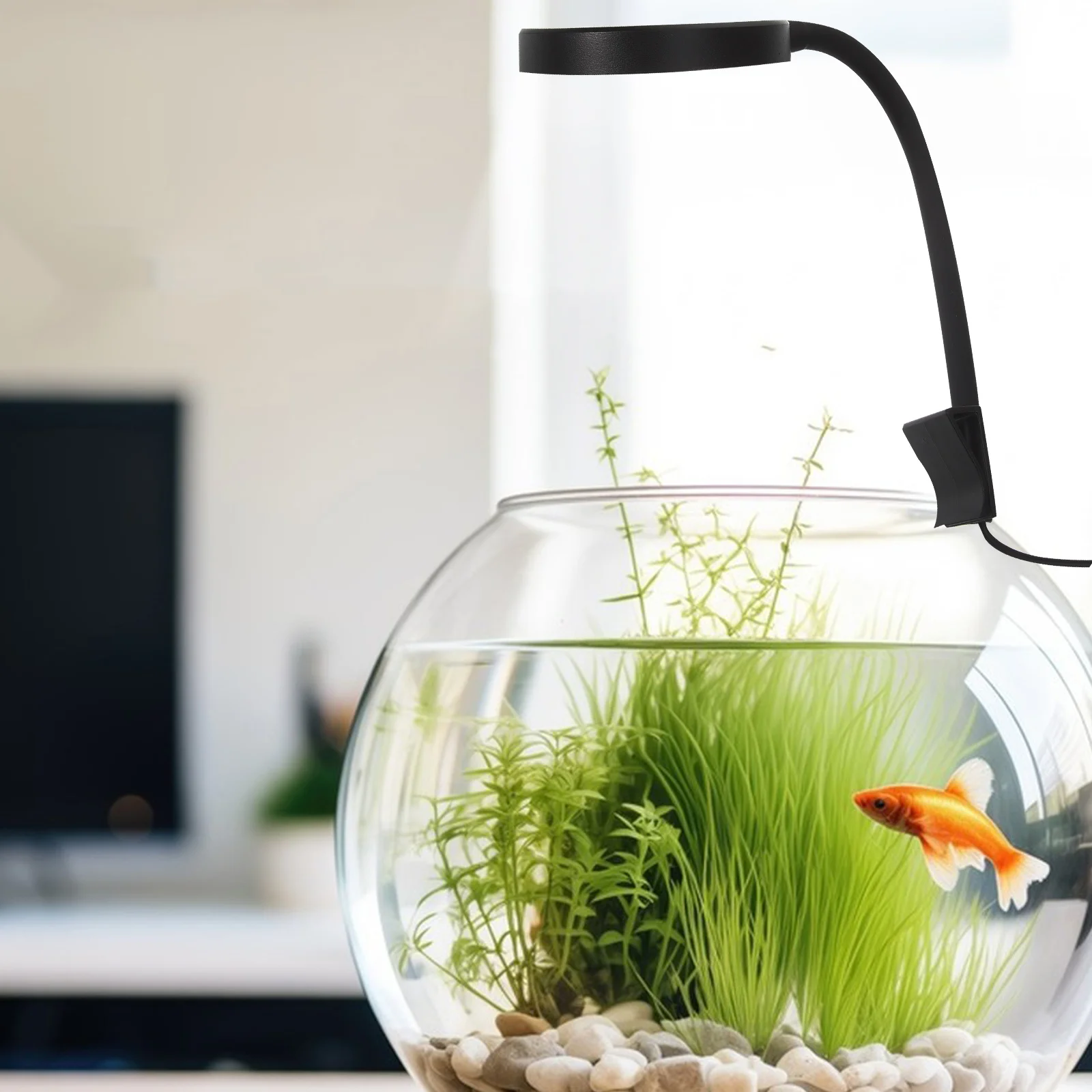 

Small Fish Tank Light 8W USB LED Aquarium Lamp Black Round Wear-resistant Lighting For Fish Tank Marine Household Daily Use