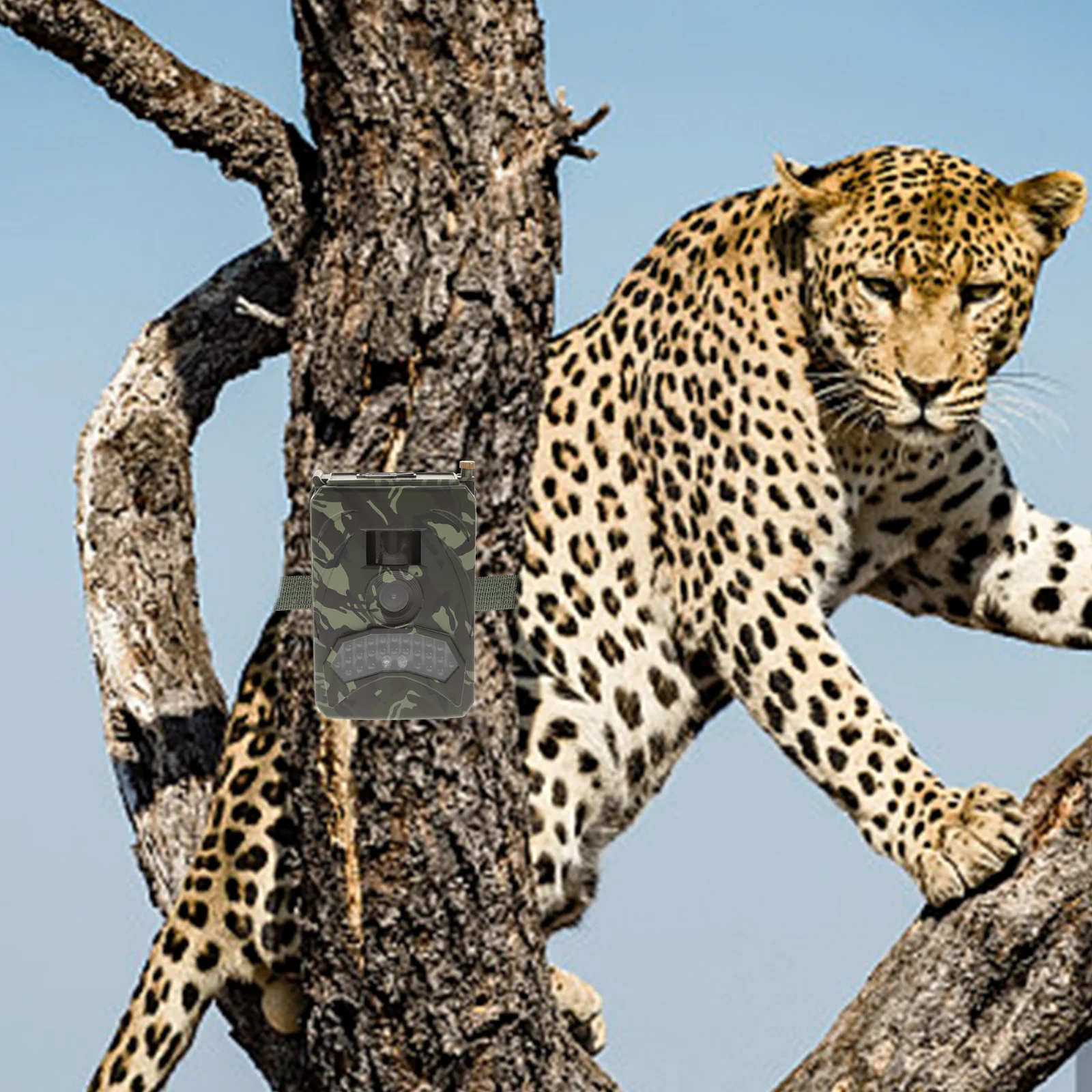 

Камера для охоты Pr-100 1080P 12Мп, водонепроницаемая IP56, с ночным видением 940 нм, инфракрасная, для наблюдения за дикой природой