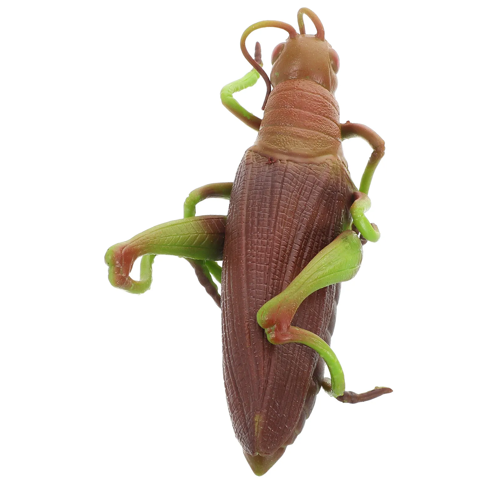 

Realistic Grasshopper Simulation Educational Soft Squeezable Insect Play Learning Animal Ornament for Kids Room Decor