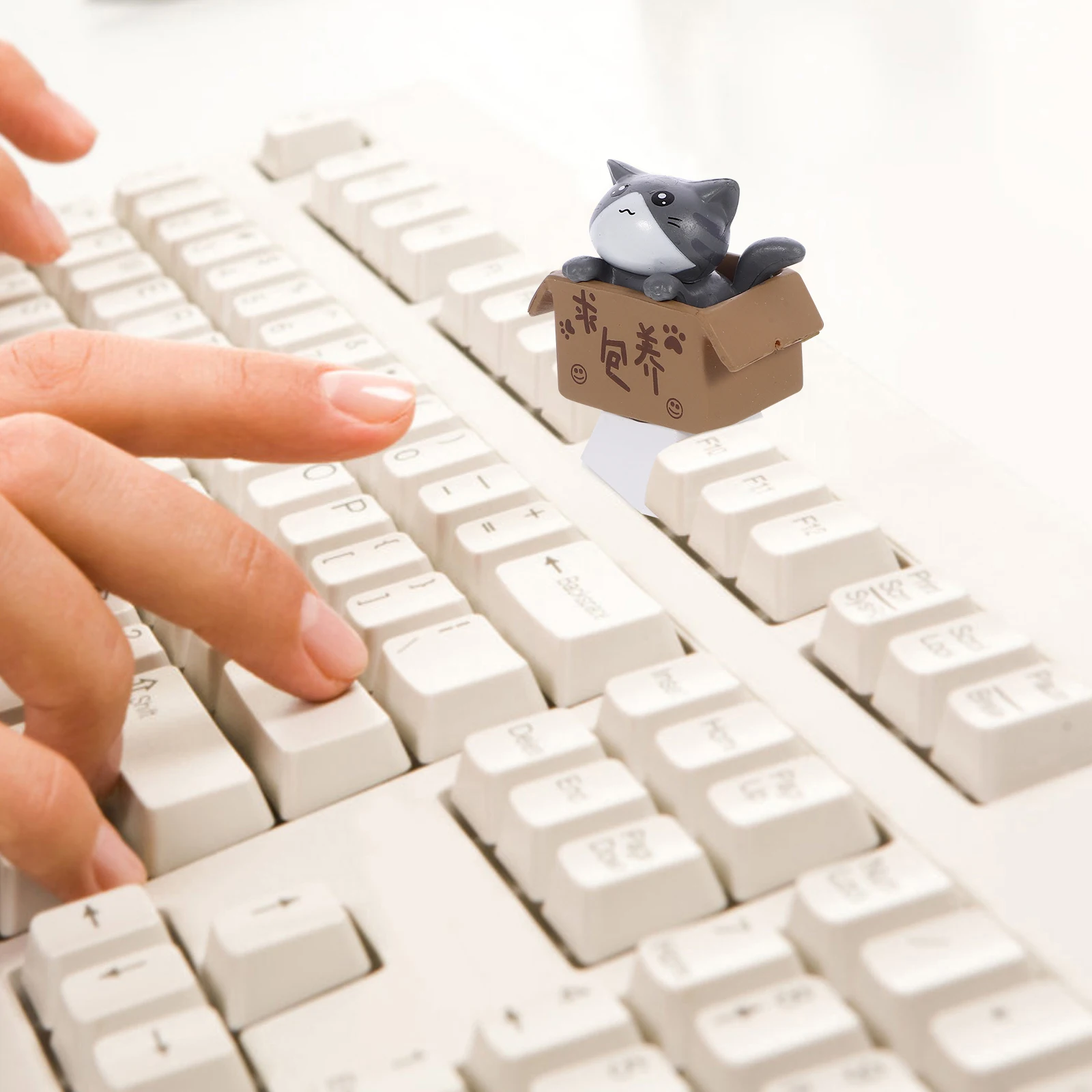 

Adorable R4 Profile Mechanical Keyboard Key Caps Replacement Personalized Cute Top Row PC Keys Gifts High Quality