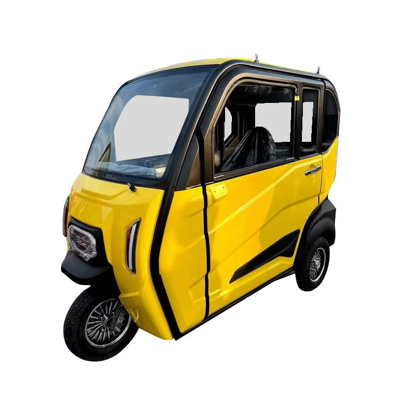 Budget-friendly 1000W Motor Speed 40km/H Three Wheel Tricycles Electric for Rural Travel