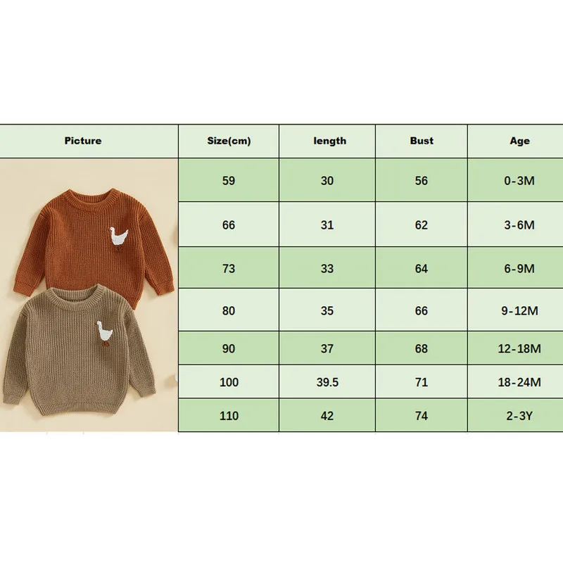 RUEWEY 0 to 18 Months Baby Boy Girl Knit Sweater Autumn Winter Clothes Goose Embroidery Crew Neck Long Sleeve Pullover Tops