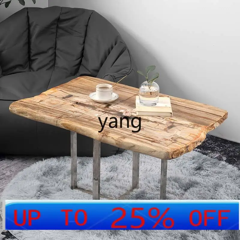 

LMM modern simple light luxury wood fossil tea stone table living room silicified wood large desktop