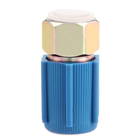 A/C 7/16 Charging Low Side Port Adapter Retrofit R12 to R134a with Cap