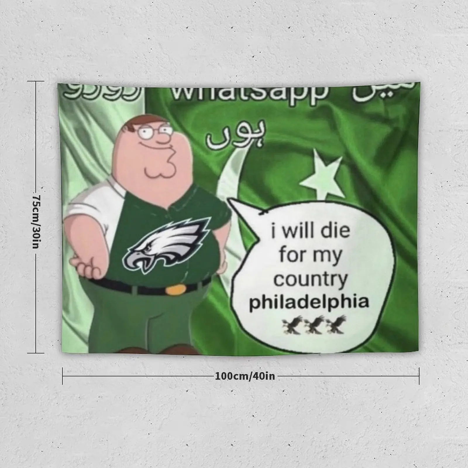 I Will Die For My Country Philadelphia: Eagles Tapestry Room Decor Cute Wall Decoration Aesthetic Decoration Tapestry