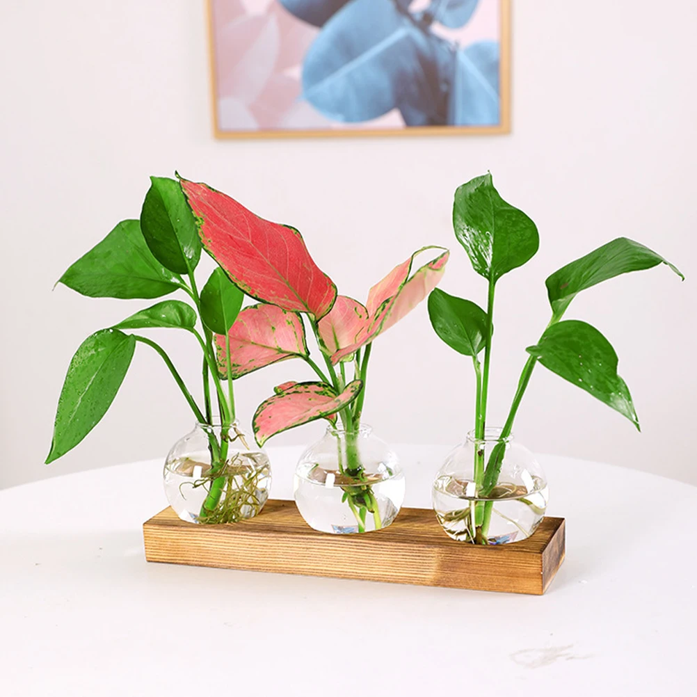 

1 set 1 Set Hydroponic Terrarium With Wood Base Plant Propagation Station Green Plant Vase For Home Decor Desktop Indoor Glass