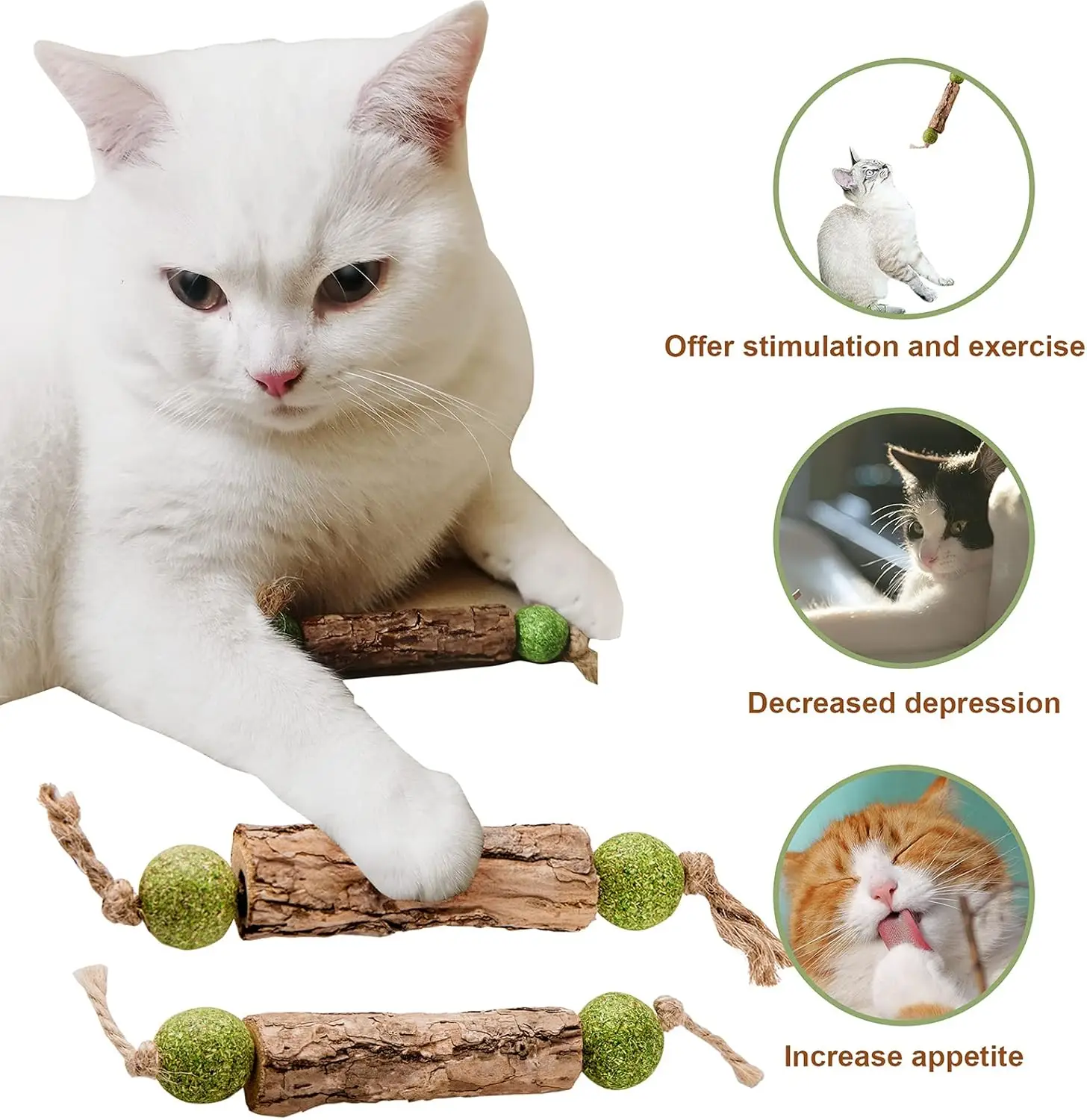 1 unidad de limpieza de dientes de gato, hierba gatera Natural pura, pasta de dientes Molar para gato, palo Silvervine Actinidia, fruta Matatabi, palo de aperitivo para gato
