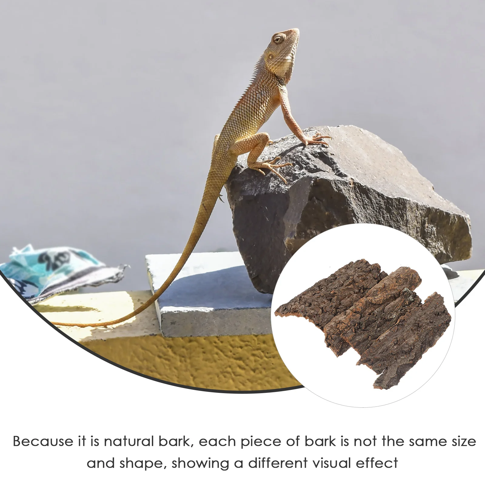 

4pc Reptile Climbing Platform Decor Natural Cork Bark Hide Terrarium Accessories Snake Lizard HabitatPlant 8~14cm Pet Supplies