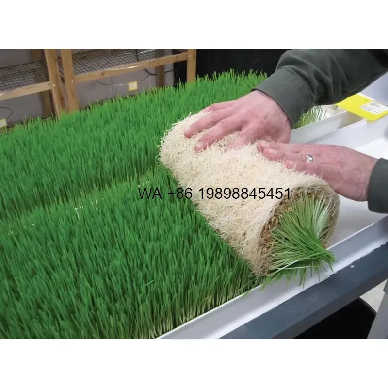 Wmwmnu Indoor Hydroponics Growing System Aeroponics Microgreens Wheat Seed PVC Fodder System for Home Garden Planting Kit