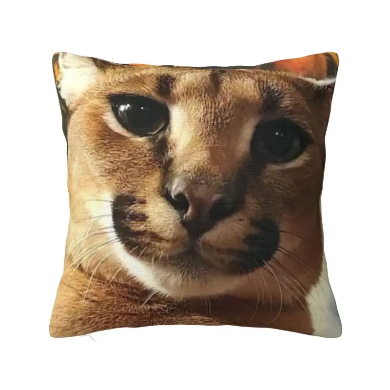 

Nordic Style Cute Caracal Cat Floppa Meme Cushion Covers 45x45cm Velvet Pillow for Sofa Car Square Pillowcase Bedroom Decoration