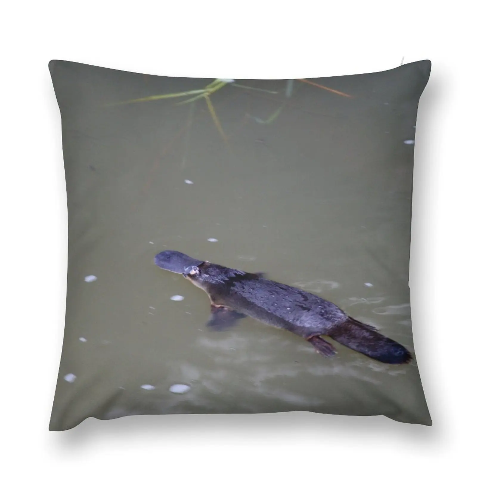 Platypus Throw Pillow Throw Pillow Covers Pillow Case ornamental pillows for living room