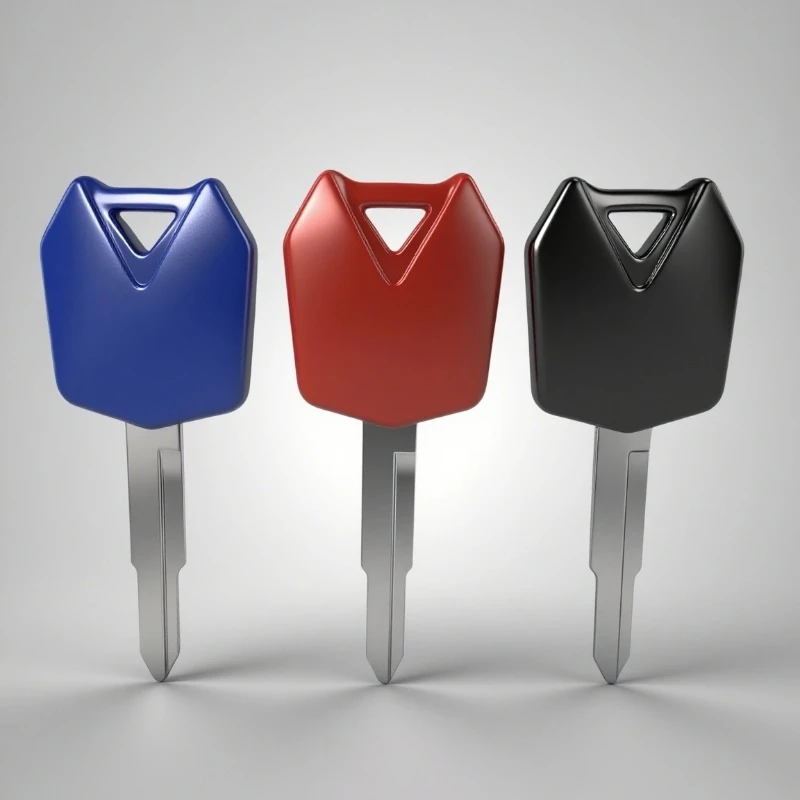 

For Kawasaki ZX12R ZX-12R ZX-10R ZX10R ZX6R 2005-2011 Z750 Z800 Z900 Z1000 ER-6N ER6N ER6F Motorcycle Key Detachable chip key